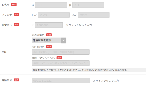 購入者情報(名前、住所、電話番号、メールアドレス)を入力する