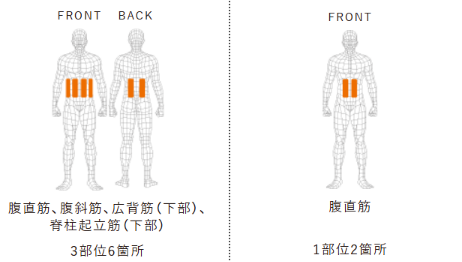 違い①鍛える部位はアブズベルトよりもコアベルトの方が多い